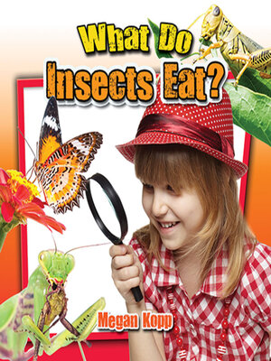 cover image of What Do Insects Eat?